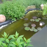 Hotel Ferien- Und Aktivhotel Zum Arber 3*