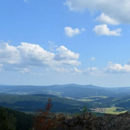 Ferien- Und Aktivhotel Zum Arber 호텔 3*
