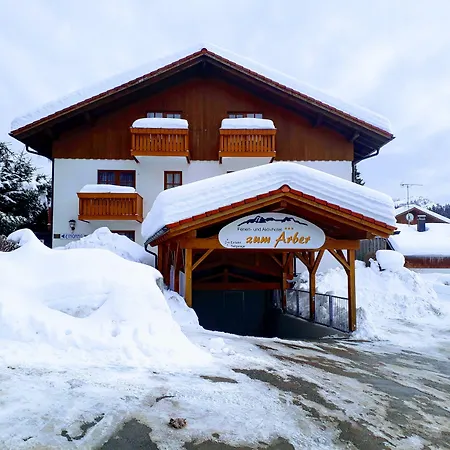 Ferien- Und Aktivhotel Zum Arber Hotel Bodenmais