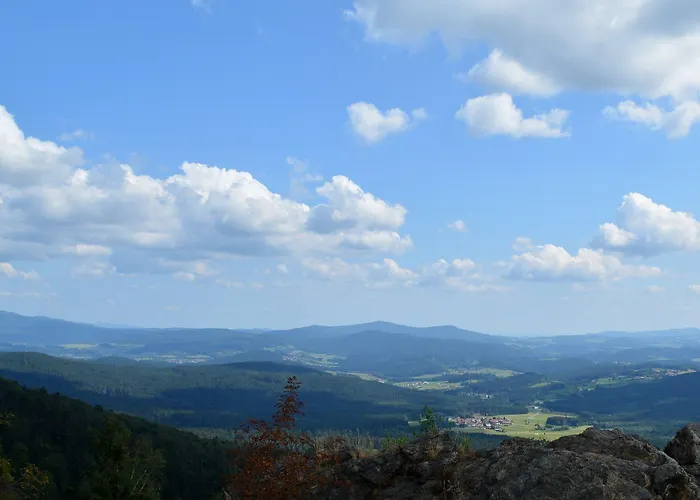 Ferien- Und Aktivhotel Zum Arber Hotel 3*