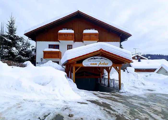 Ferien- Und Aktivhotel Zum Arber Hotel Bodenmais