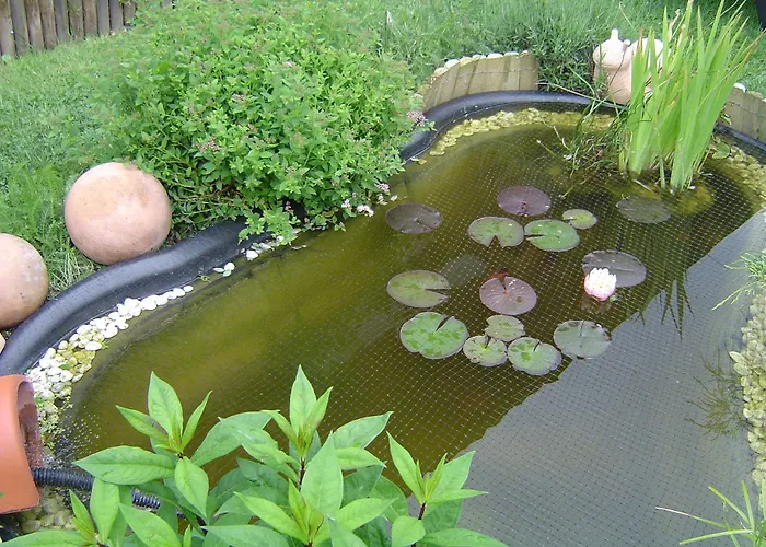 Hotel Ferien- Und Aktivhotel Zum Arber 3*