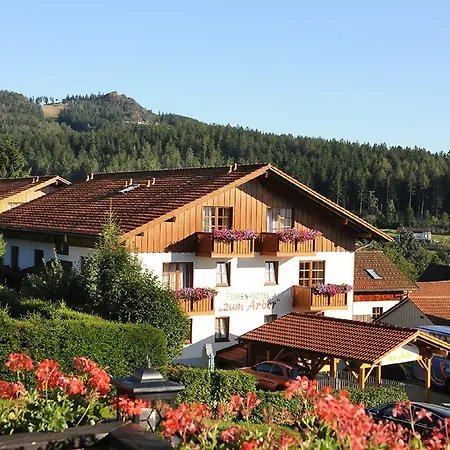 Hotel Ferien- Und Aktivhotel Zum Arber Bodenmais