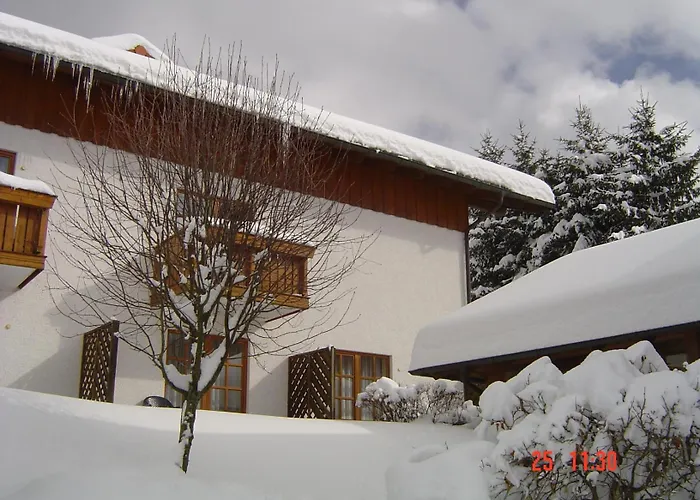 מלון Ferien- Und Aktivhotel Zum Arber 3*